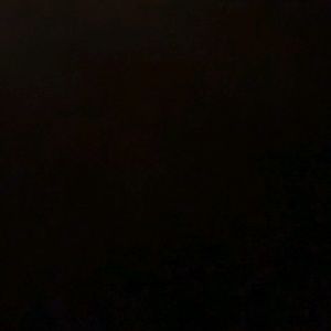 Meet your Posher, Vincent